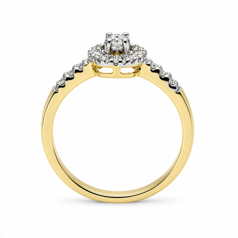 Zaveris 9 Carat Yellow Gold Round Diamond Halo Engagement Ring